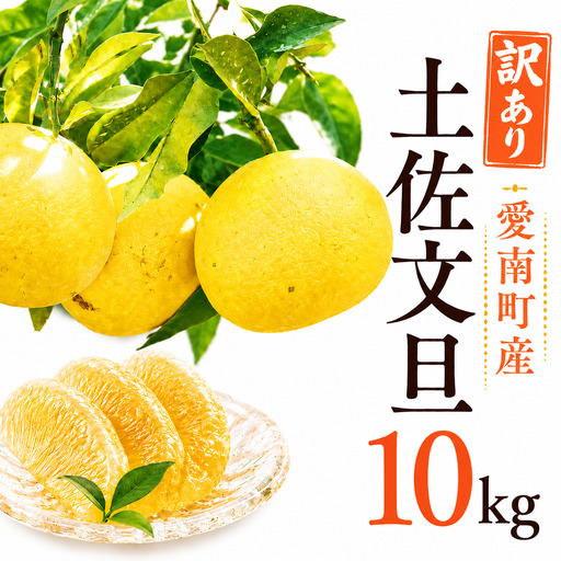 訳あり 土佐文旦 約10kg 文旦 エニシトラス 愛媛 愛南