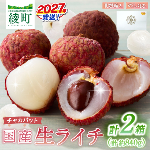 先行予約 数量限定 希少 国産 綾 生ライチ 2箱セット 1種類（化粧箱入り）果物 フルーツ くだもの 国産ライチ 2027年 トロピカルフルーツ 南国フルーツ 冷蔵 ジューシー 高級 デザート ギフト 贈り物 プレゼント ご褒美 宮崎県 送料無料【JA綾町】_A0114-269