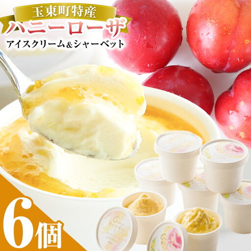 抜群の糖度と爽やかな酸味♪ハニーローザアイスクリーム＆ハニーローザシャーベット 120ml 6個 熊本県玉名郡玉東町 すもも ハニーローザ アイス ぷらっとぎょくとう