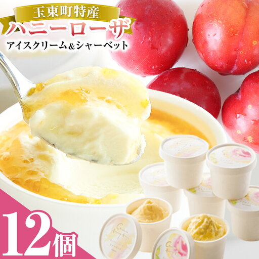 抜群の糖度と爽やかな酸味♪ハニーローザアイスクリーム＆ハニーローザシャーベット 120ml 12個 熊本県玉名郡玉東町 すもも ハニーローザ アイス ぷらっとぎょくとう