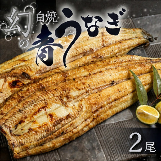 最高級 特上 幻の青うなぎ 2尾 うなぎ 白焼 