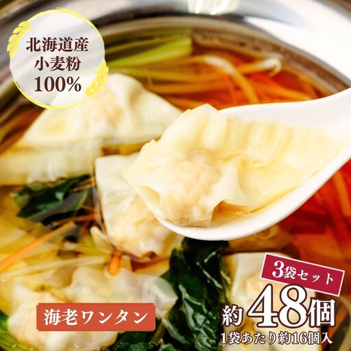 東京ワンタン本舗 海老ワンタン 約16粒 × 3袋 | ワンタン 埼玉県 上尾市