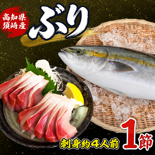 ブリ 1節 ロイン 高知県 