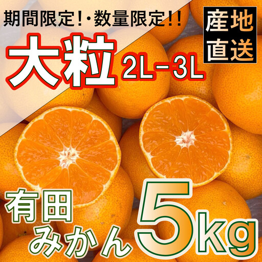 ［先行予約］和歌山県産 有田みかん 大玉 大粒 5kg 2L～3L