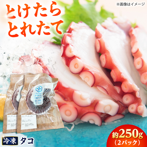 【とけたらとれたて】 タコ （下処理・瞬間冷凍済み）2パック（250g以上）[DBY003]