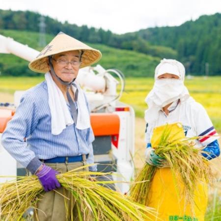 [毎月定期便]関川村産こしひかり5kg ふっくら美味しさ 岩船米 [横山農産]全3回