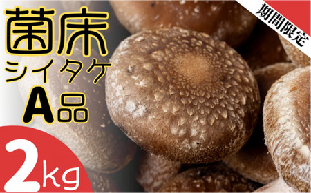 ファーム吉五郎　菌床シイタケA品2kg
