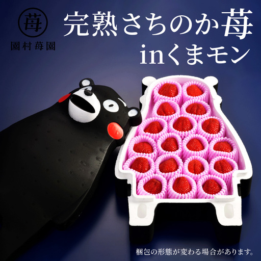 【先行受付】1月発送 園村苺園 完熟さちのか苺 in くまモン_約500ｇ_U74-0052_01