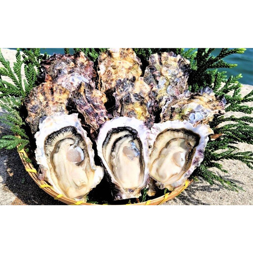 能登穴水の牡蠣（殻付き）　加熱用　5kg