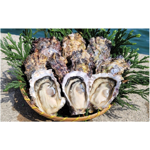 能登穴水の牡蠣（むき身）　加熱用　1.0kg