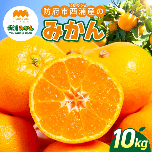 防府市西浦産のみかん 10kg 美日山 山口県 防府市 12-046-0002 みかん 10kg 温州みかん フルーツ 柑橘 果物 赤土 産地直送 美味しい 旬