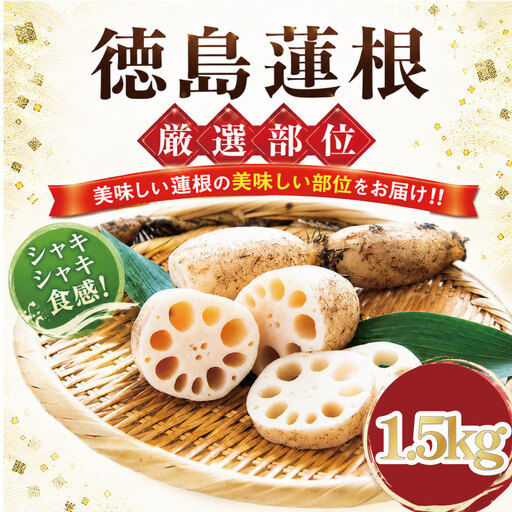 蓮根 厳選 こだわり部位セット 1.5kg