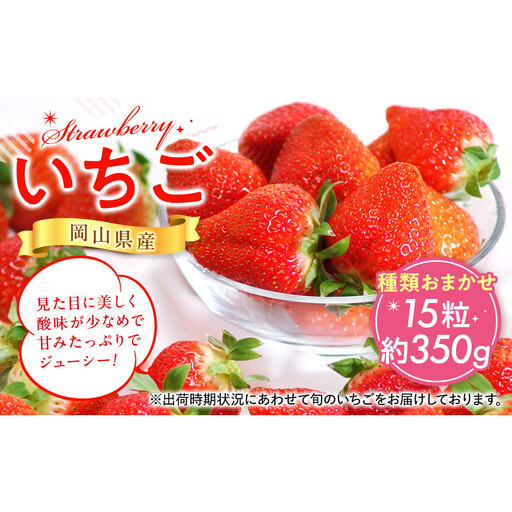 岡山県産 いちご 15粒（約350g）種類おまかせ【2026年12月以降発送】