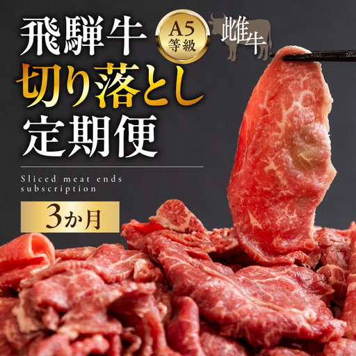飛騨牛 A5 牝牛 切り落とし 500g 3か月定期便 ステーキ 牛肉 焼肉 高級 黒毛和牛 和牛 切り落とし 訳あり