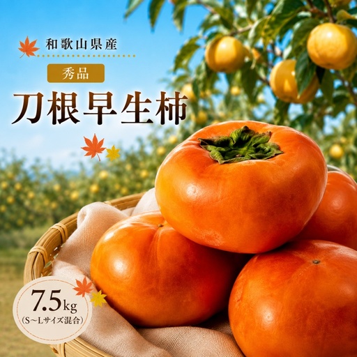 刀根早生柿 (とねわせかき） 7.5kg S~L サイズ混合 秀品 / 種なし カキ 甘い 美味しい 紀美野町産 ※2026年9月中旬～10月中旬頃に順次発送予定【skg504-r-tone-7d5】