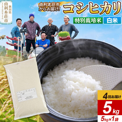 《定期便4ヶ月》令和7年産【白米】特別栽培米 コシヒカリ 5kg 秋田県産