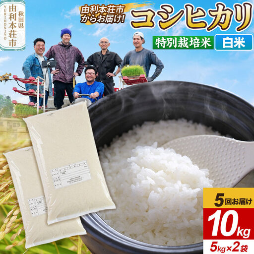 《定期便5ヶ月》令和7年産【白米】特別栽培米 コシヒカリ 10kg（5kg×2袋） 秋田県産