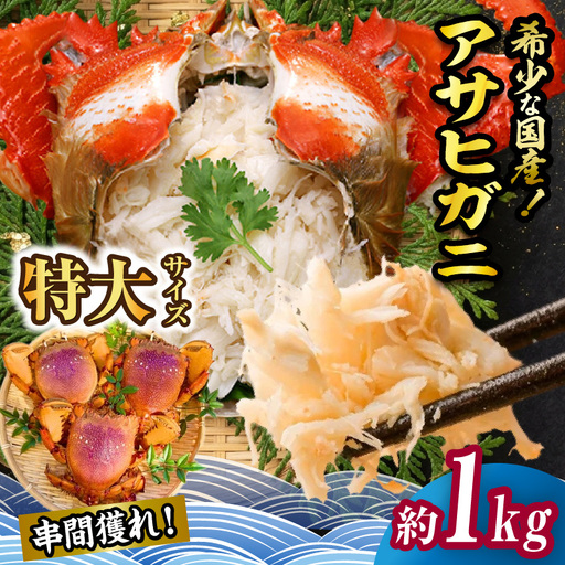 【先行予約】＜2026年11月より順次発送予定＞宮崎県串間市産 特大アサヒガニ1kg_K027-015-01
