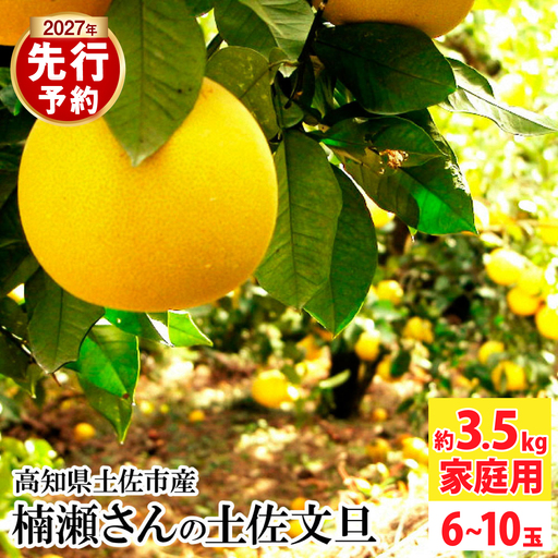 [先行予約]まる庄果樹園 楠瀬さんの土佐文旦 家庭用 約3.5kg サイズ混合[2027年2月15日〜2027年4月5日発送][BQAF022]