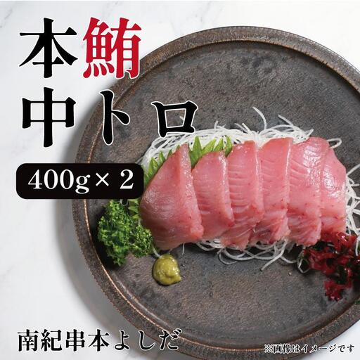 南紀串本よしだ 本鮪 中トロ サク 400g×2 合計 800g