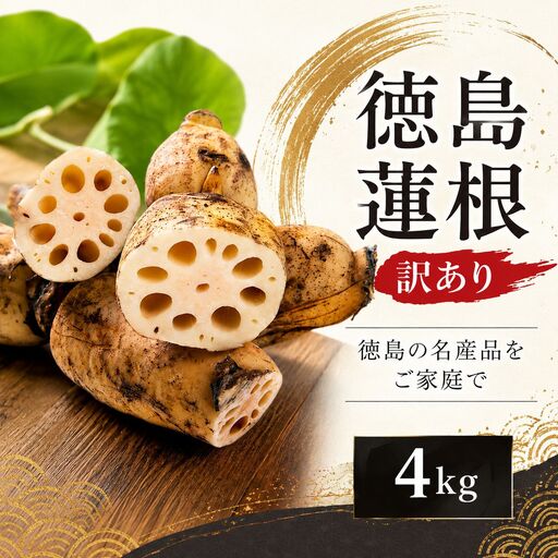 訳あり 洗い れんこん 4kg 農家直送