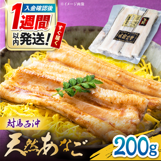対馬産 西沖あなご 200g×1パック[対馬市][保家商事] あなご 穴子 アナゴ 海鮮 海産物 魚介
