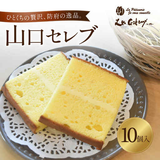 山口セレブ(10個入) 有限会社レ・ガトー 山口県 防府市 A-C30 洋菓子 スイーツ 焼菓子 ケーキ ギフト プレゼント ティータイム 個包装 おやつ 高級