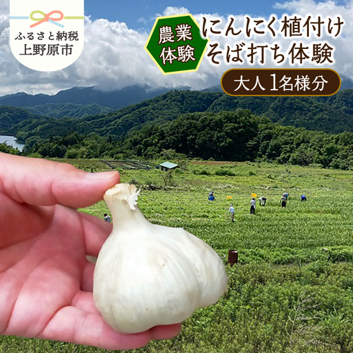 [農業体験]にんにく植付け+そば打ち体験(大人1名様分)