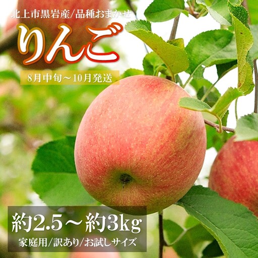 訳あり りんご 約 2.5kg 〜約 3kg ( 品種おまかせ / 8月中旬 〜 10月 発送 ) 季節のりんご 旬のりんご 早生りんご 岩手県 北上市 黒岩産直