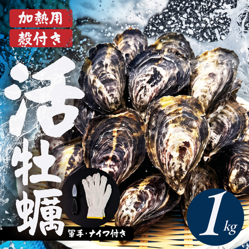 [数量限定]殻付き 生牡蠣(加熱用)1kg 軍手・牡蠣ナイフ付