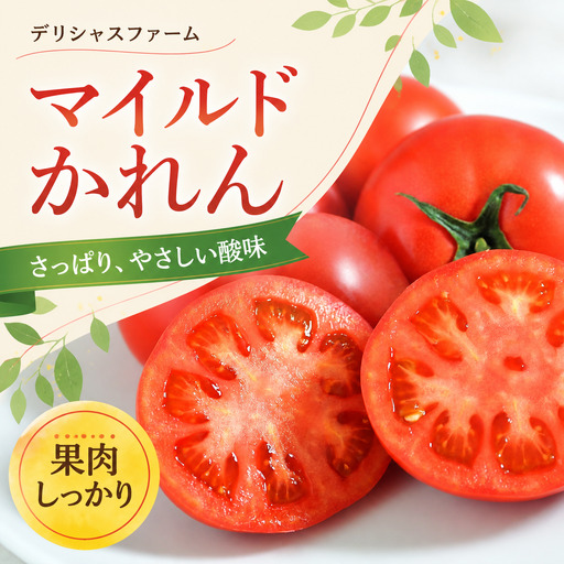 トマト[かれん] マイルドかれん 訳あり 5kg / 野菜 トマト とまと[delf061]