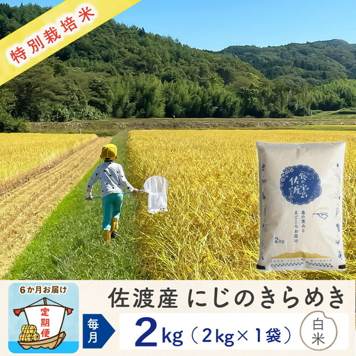 佐渡島産【6か月定期便 にじのきらめき】佐渡島産にじのきらめき 白米 合計12kg（2kg×毎月お届け全6回）令和8年産 新米 特別栽培米 195962-3511