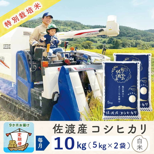 佐渡島産【9か月定期便 コシヒカリ】佐渡島産コシヒカリ 白米 合計90kg（10kg（5kg×2袋）×全9回）令和8年産 新米 特別栽培米 195962-3214