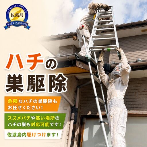 [佐渡市 ハチの巣駆除 30,000円分]スズメバチ・高所対応 佐渡島内 アイマーク環境