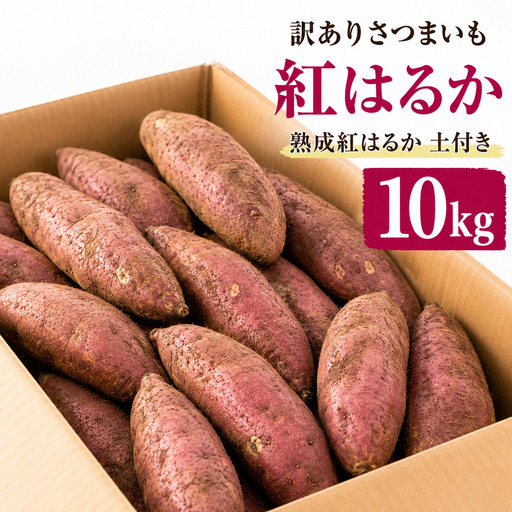 [2026年11月中旬以降発送][訳あり]佐渡島産さつまいも 紅はるか 10kg 不揃い・傷あり ばん農園