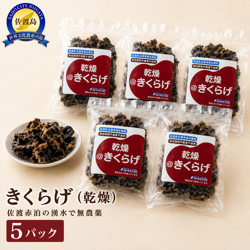 【佐渡産 乾燥きくらげ】20g×5パック アラゲキクラゲ 菌床栽培 佐渡赤泊の湧水で栽培