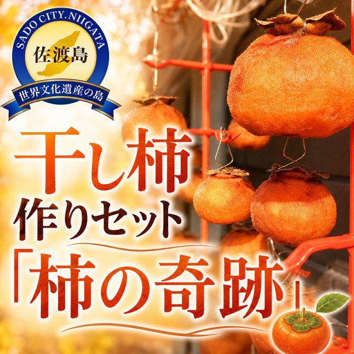 [佐渡産 おけさ柿 干し柿作りセット]おけさ柿 干し柿作り 柿の奇跡| 新潟県産柿 佐渡産柿 佐渡島産かき 柿 かき カキ フルーツ 果物 くだもの デザート おやつ 南佐渡 にいがた さど 新潟県 佐渡市