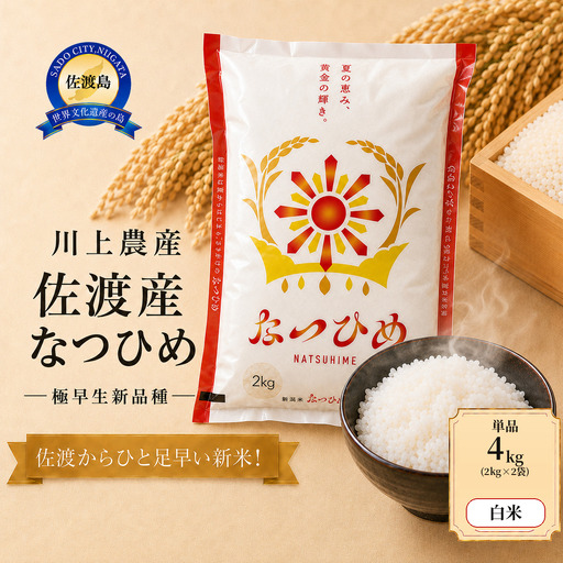 【なつひめ 4kg】令和8年産 佐渡産なつひめ 4kg(2kg×２袋) 精米 川上農産