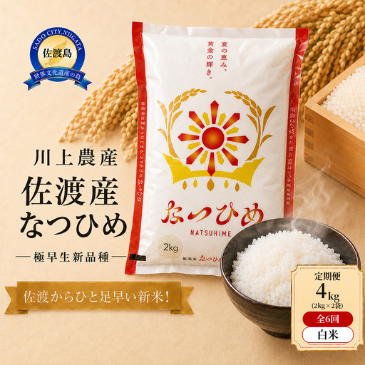 【6か月定期便  なつひめ】令和8年産 佐渡産なつひめ 合計24kg（4kg(2kg×2袋)×全6回）精米 川上農産