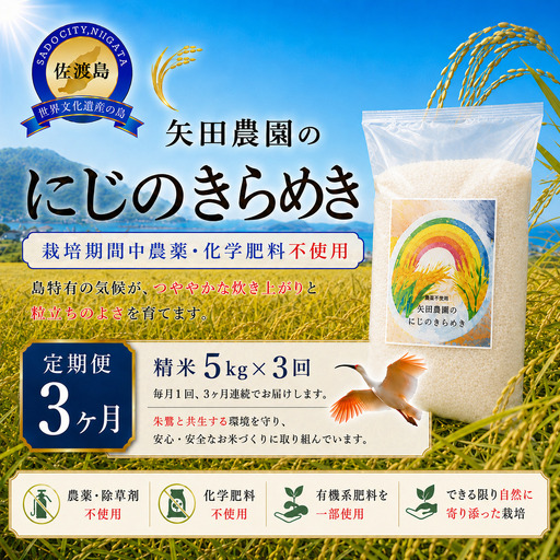 【3か月定期便 令和8年産】佐渡産にじのきらめき 精米(5kg×3回) 栽培期間中 農薬・化学肥料不使用 矢田農園