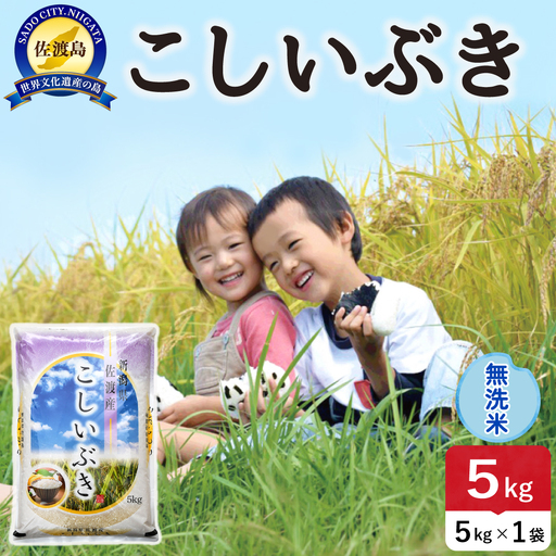 佐渡島産こしいぶき 無洗米 5kg 令和8年産 農薬5割減 土屋農園 195962-052302
