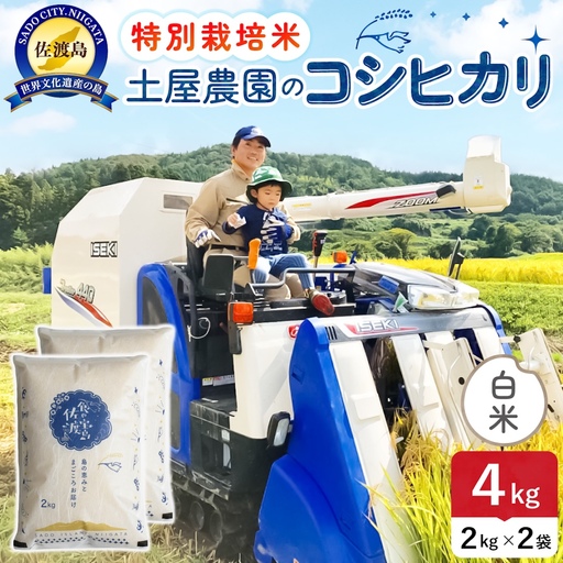 佐渡島産コシヒカリ 白米 4kg 令和8年産 特別栽培米 土屋農園 195962-031202