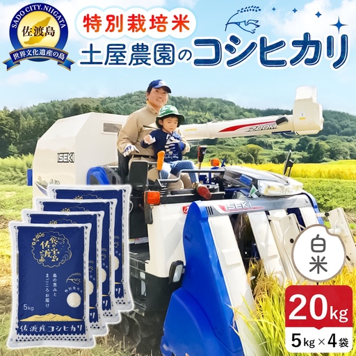 佐渡島産コシヒカリ 白米 20kg 令和8年産 特別栽培米 土屋農園 195962-031602