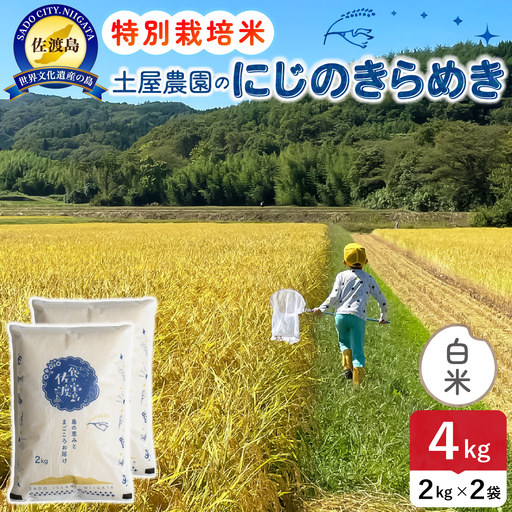 佐渡島産にじのきらめき 白米 4kg 令和8年産 特別栽培米 土屋農園 195962-041202