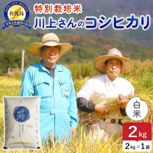 令和8年産 佐渡島産ミルキークイーン 白米2kg 特別栽培米 195962-071102