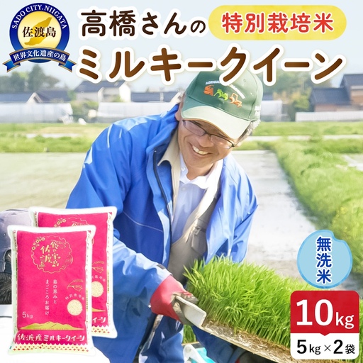 令和8年産 佐渡島産ミルキークイーン 無洗米10kg 特別栽培米 195962-072402