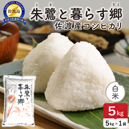 令和8年産 佐渡島産 朱鷺と暮らす郷 白米5kg 特別栽培米