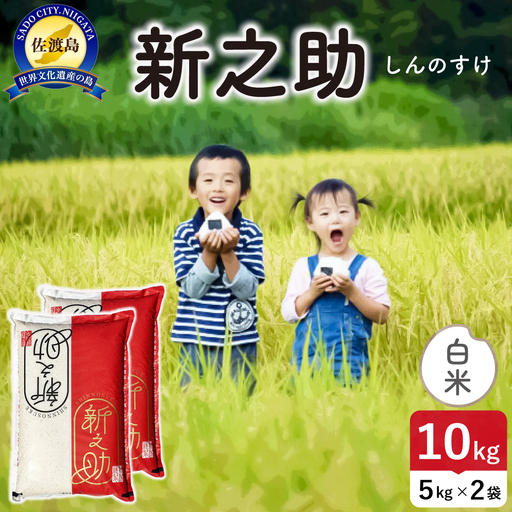 令和8年産 佐渡島産 新之助 白米10kg 195962-101402