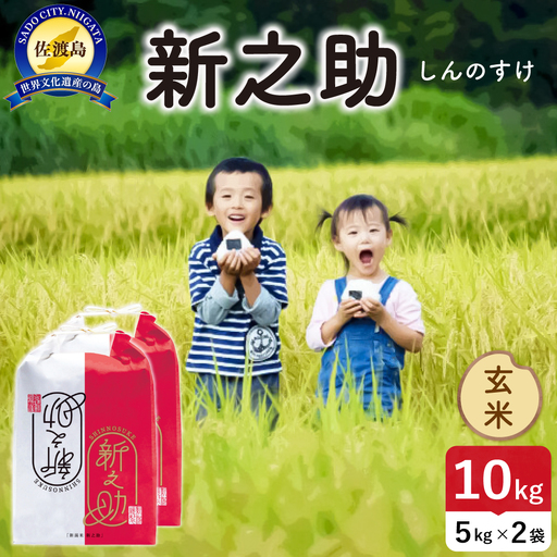 令和8年産 佐渡島産 新之助 玄米10kg