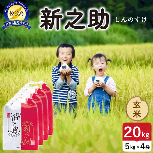 令和8年産 佐渡島産 新之助 玄米20kg 195962-104602
